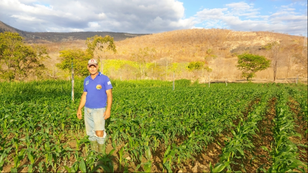 Grupo quadruplica faturamento apos Agro Nordeste Itaobim e Ponto dos Volantes MG maio 2022 3 Grupo quadruplica faturamento apos Agro Nordeste Itaobim e Ponto dos Volantes MG maio 2022 3