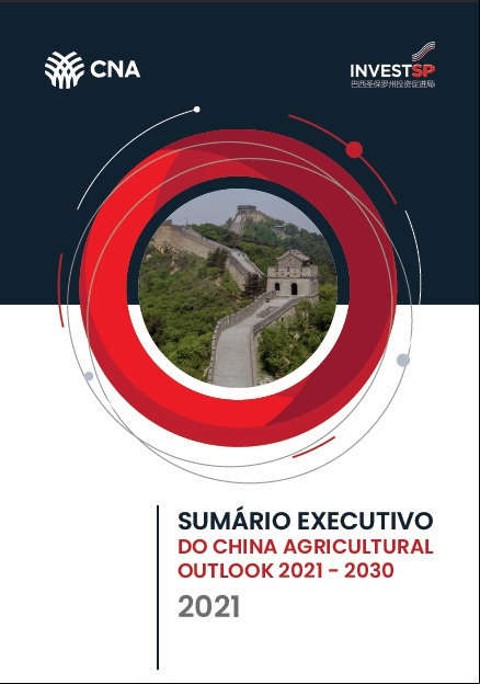 Sumario Outlook