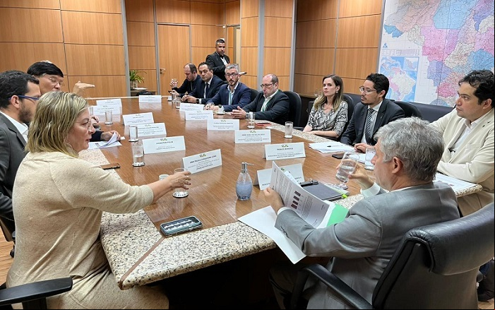 Foto: Assessoria deputada Ana Paula Leão