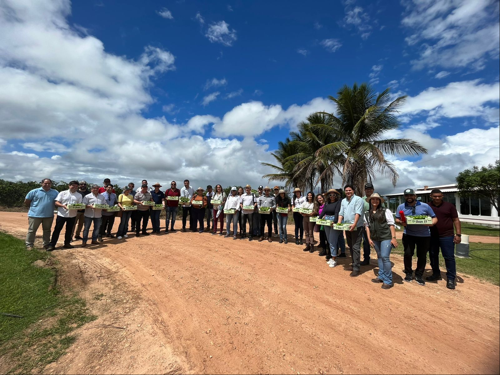 Visita à São Francisco Citrus (80% da produção de limão é exportada) Visita à São Francisco Citrus (80% da produção de limão é exportada)