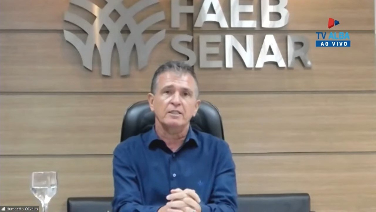 Alba Alba