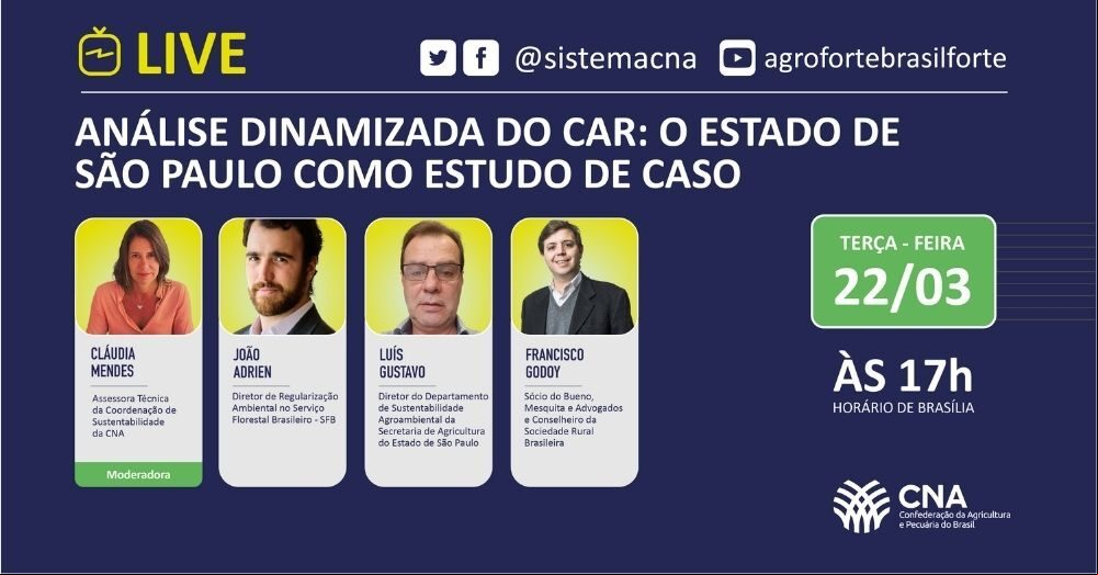 Analise dinamizada do car