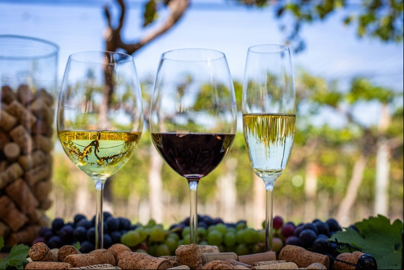 Concurso vinhos espumantes