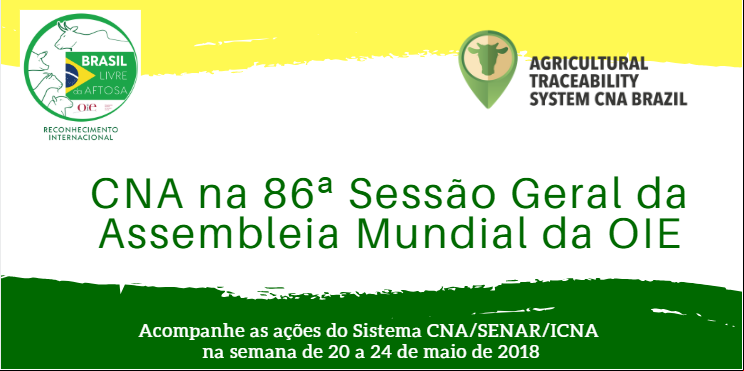 Header paginaoie