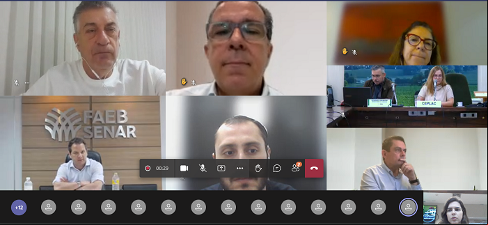 Letícia Fonseca participou da reunião online da Câmara Setorial