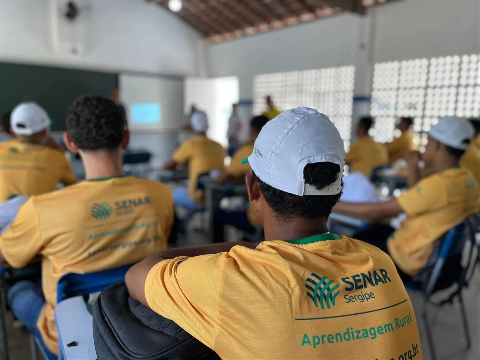 Senar jovem