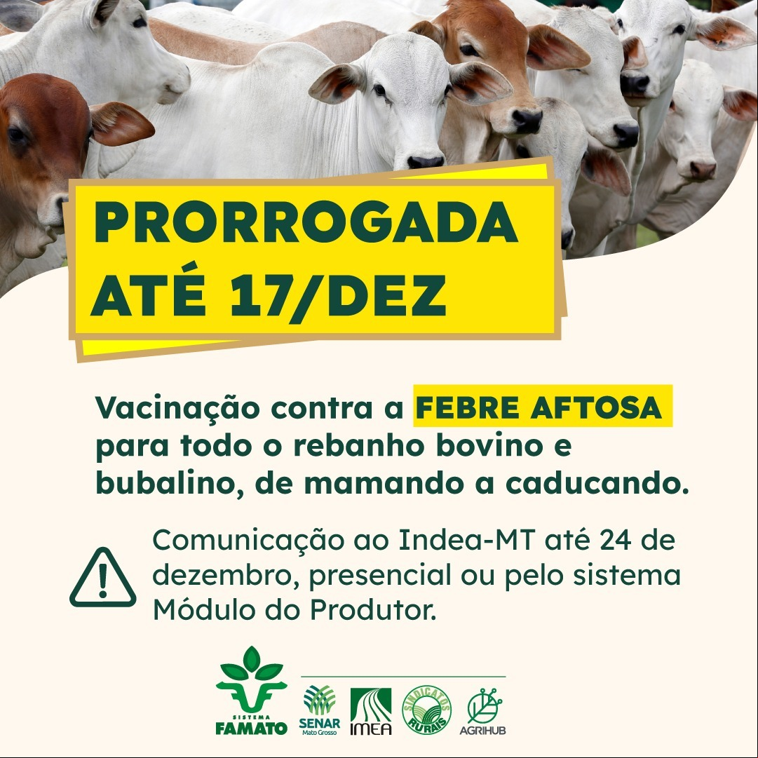 Whats App Image 2022 11 25 at 17 49 46