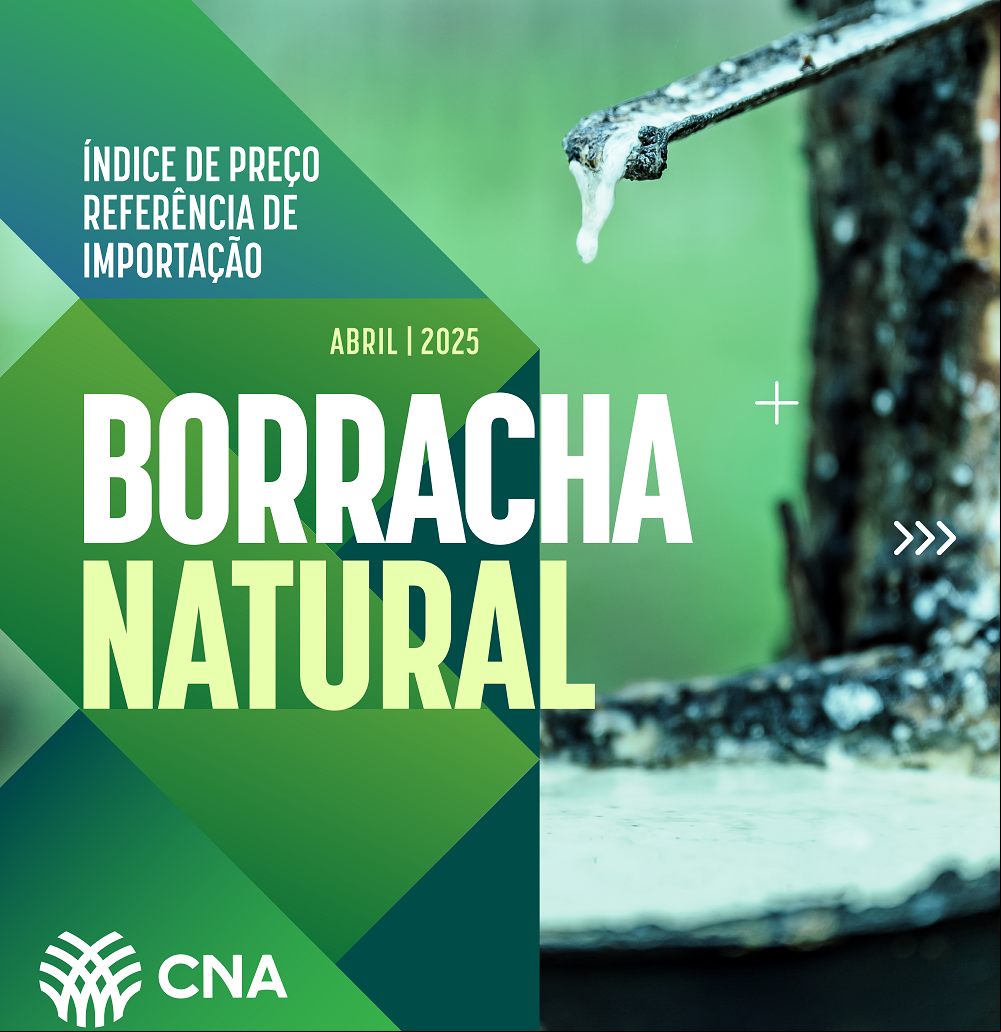 Carrossel indice borracha ABRIL 2025 1