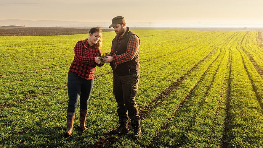 Dia do agricultor