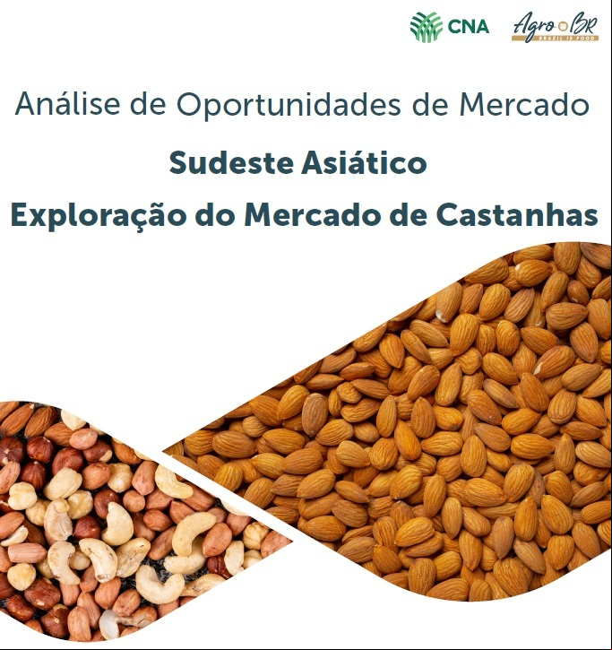 Estudo castanhas