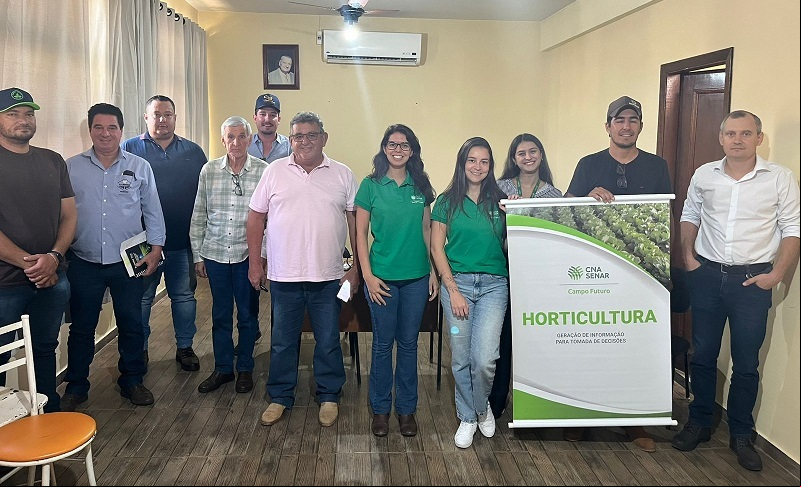 de mandioca para indústria no município Tupã (SP)